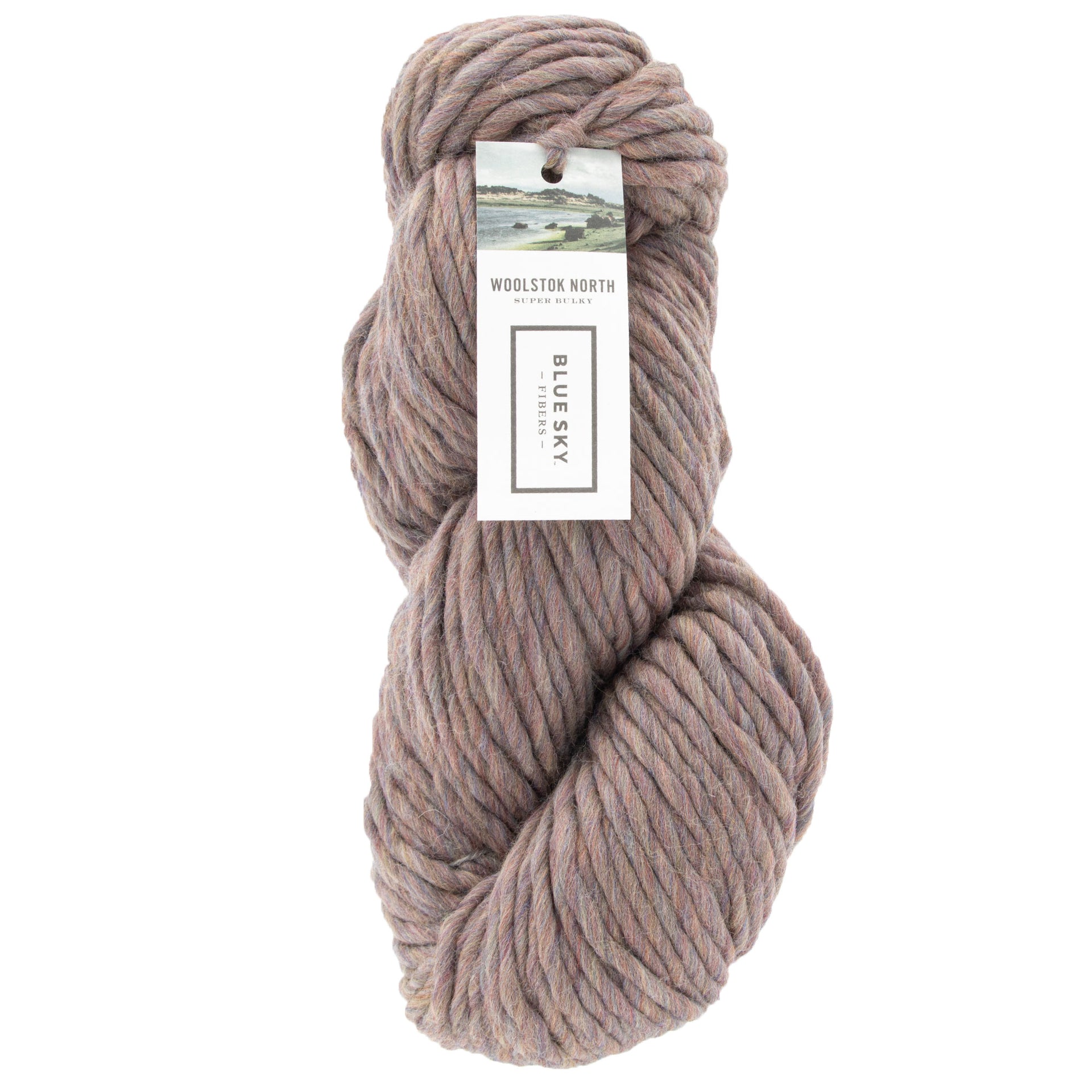 Blue Sky Fibers Woolstok North Yarn - 4322 Northern Lights - Zoom Image
