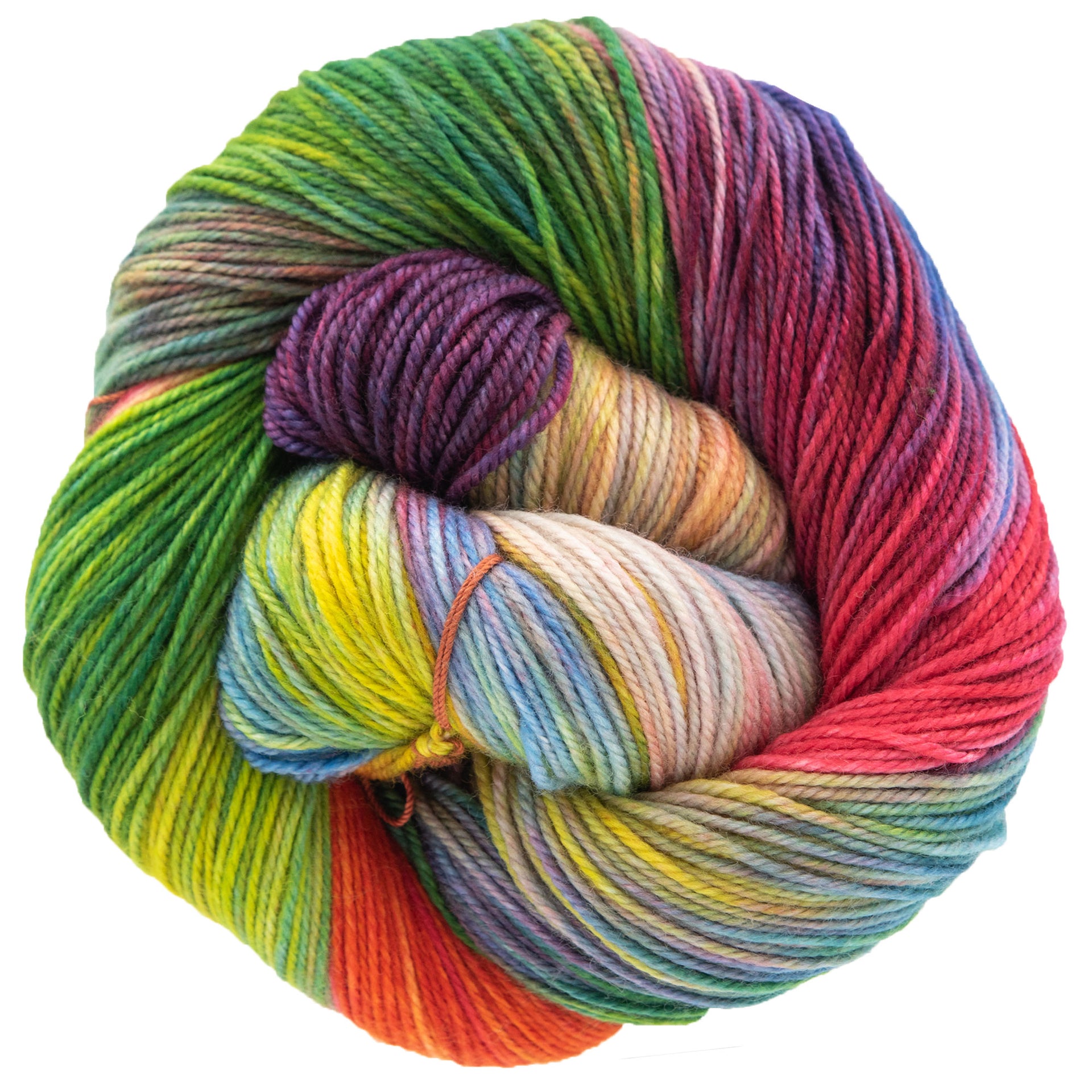 Dream in Color Smooshy Yarn - Anything Goes - Zoom Image
