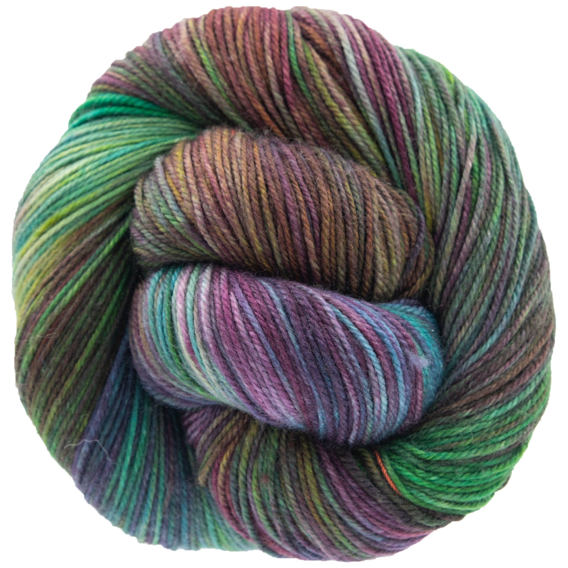 Dream in Color Smooshy Yarn - Secret Garden - Zoom Image
