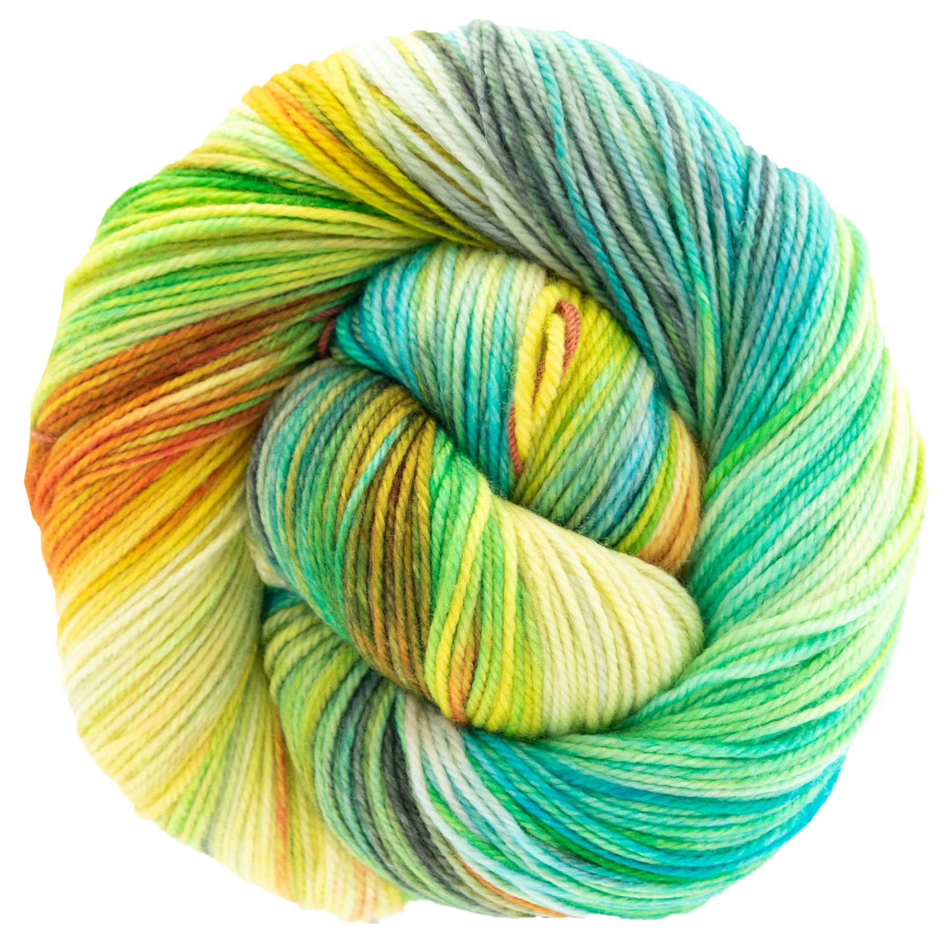 Dream in Color Smooshy Yarn - Farmer's Market - Zoom Image
