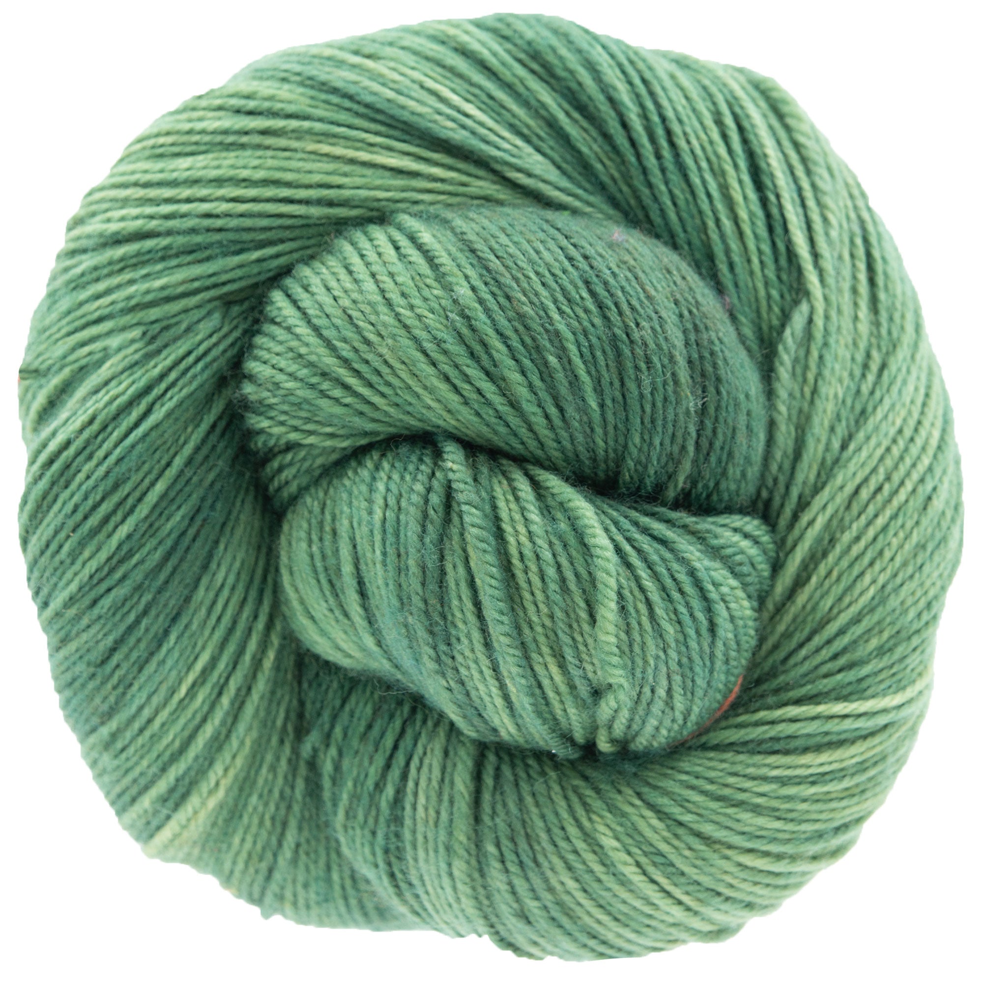 Dream in Color Smooshy Yarn - Power Plant - Zoom Image