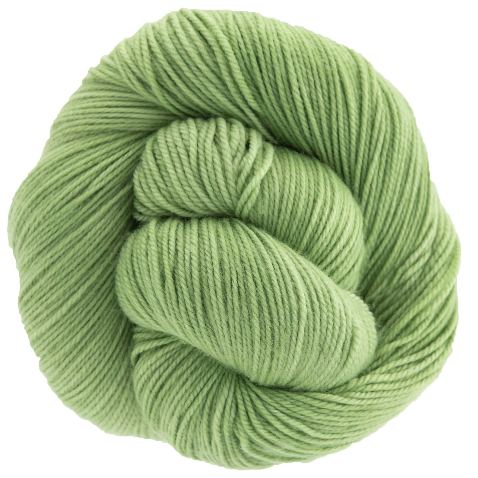 Dream in Color Smooshy Yarn - Sprout - Zoom Image
