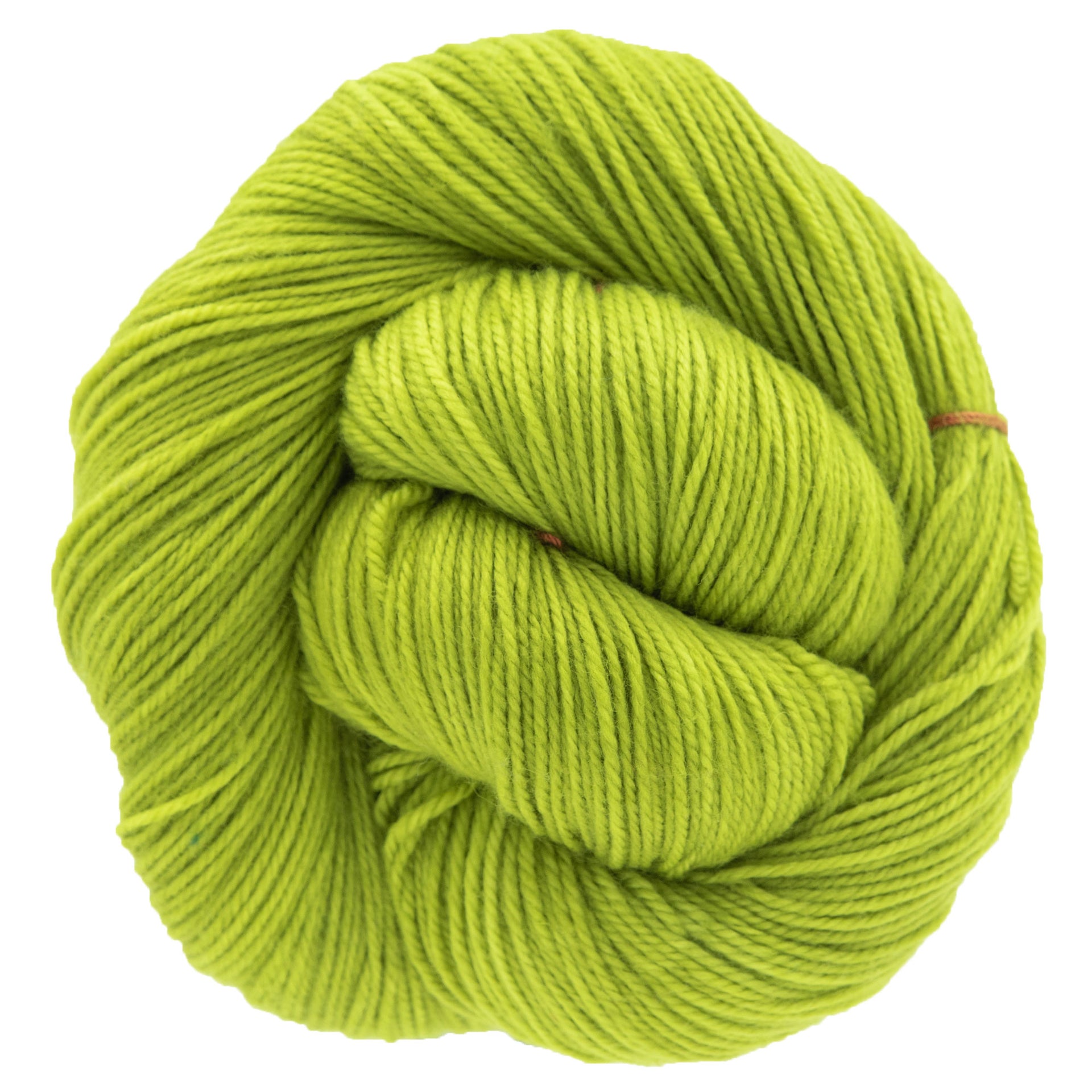 Dream in Color Smooshy Yarn - Prickly Pear - Zoom Image

