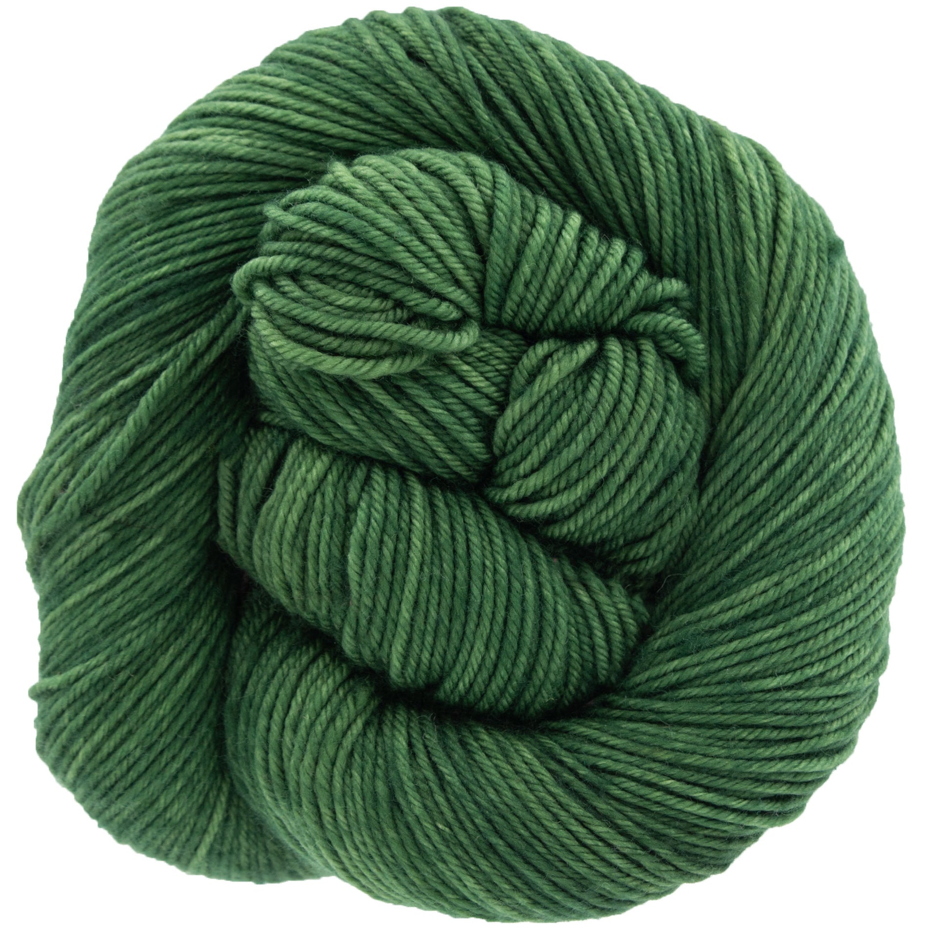 Dream in Color Classy Yarn - Power Plant - Zoom Image
