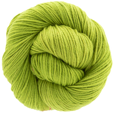 Dream in Color Classy Yarn - Prickly Pear - Zoom Image
