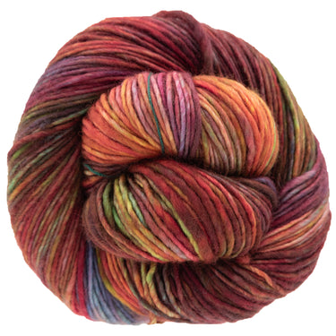 Dream in Color Riley Yarn - Anything Goes - Zoom Image