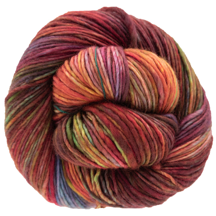 Dream in Color Riley Yarn - Anything Goes - Zoom Image