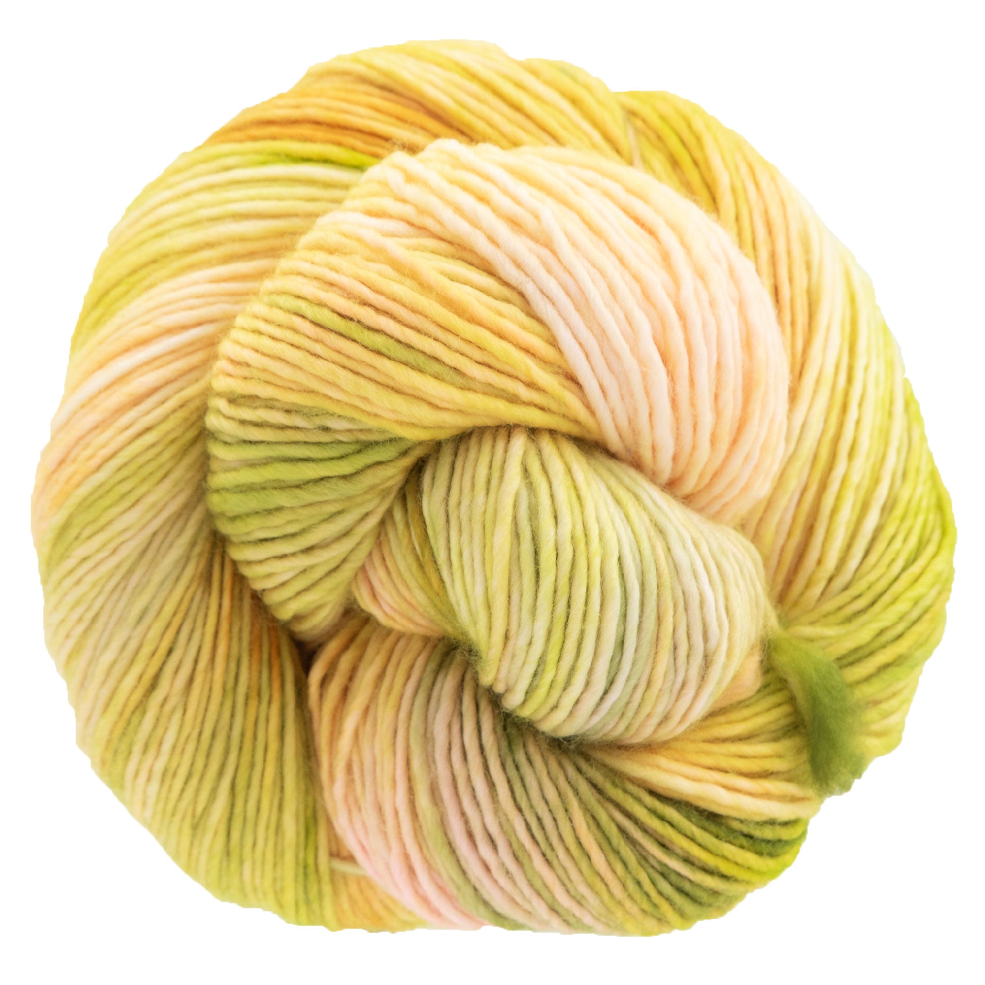 Dream in Color Riley Yarn - Guava Nice Day 759 - Zoom Image