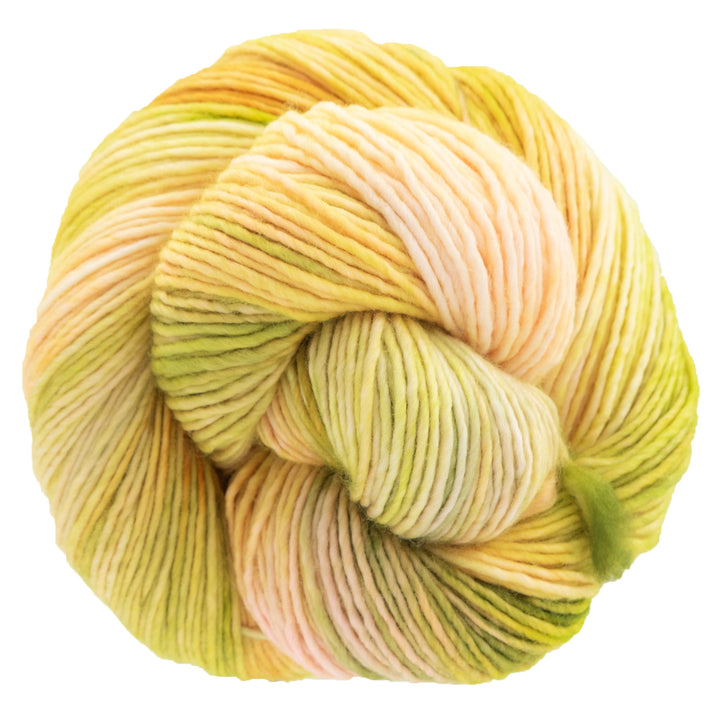 Dream in Color Riley Yarn - Guava Nice Day 759 - Zoom Image