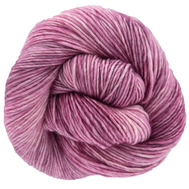 Dream in Color Riley Yarn - Shy - Zoom Image