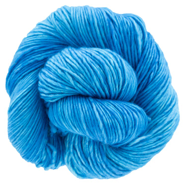 Dream in Color Riley Yarn - Violet's Blueberry - Zoom Image
