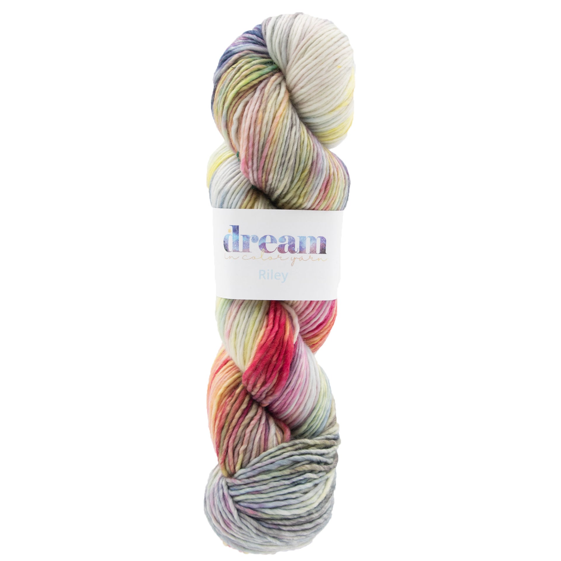 Dream in Color Riley Yarn - Songbird - Zoom Image
