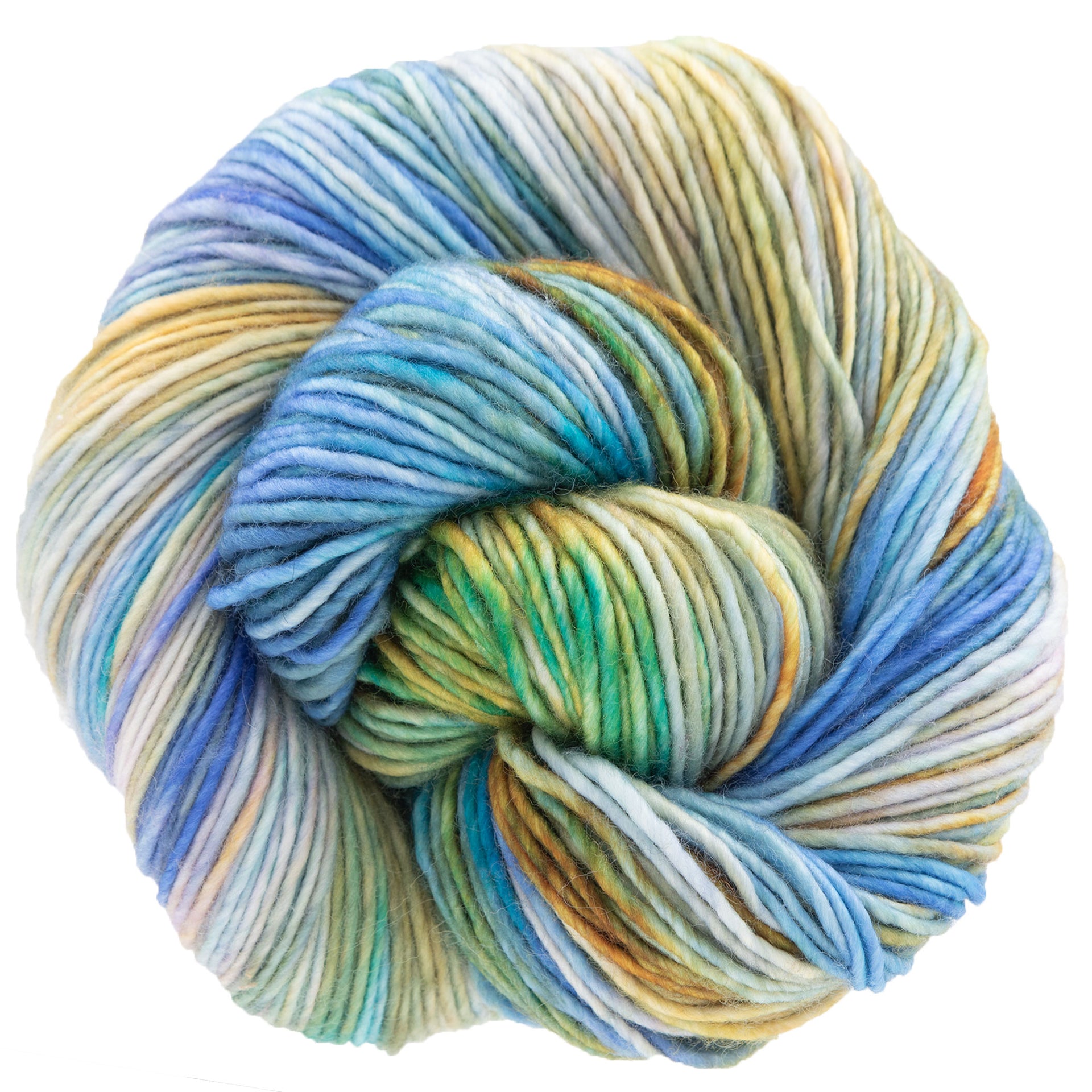 Dream in Color Riley Yarn - Water Dragon - Zoom Image
