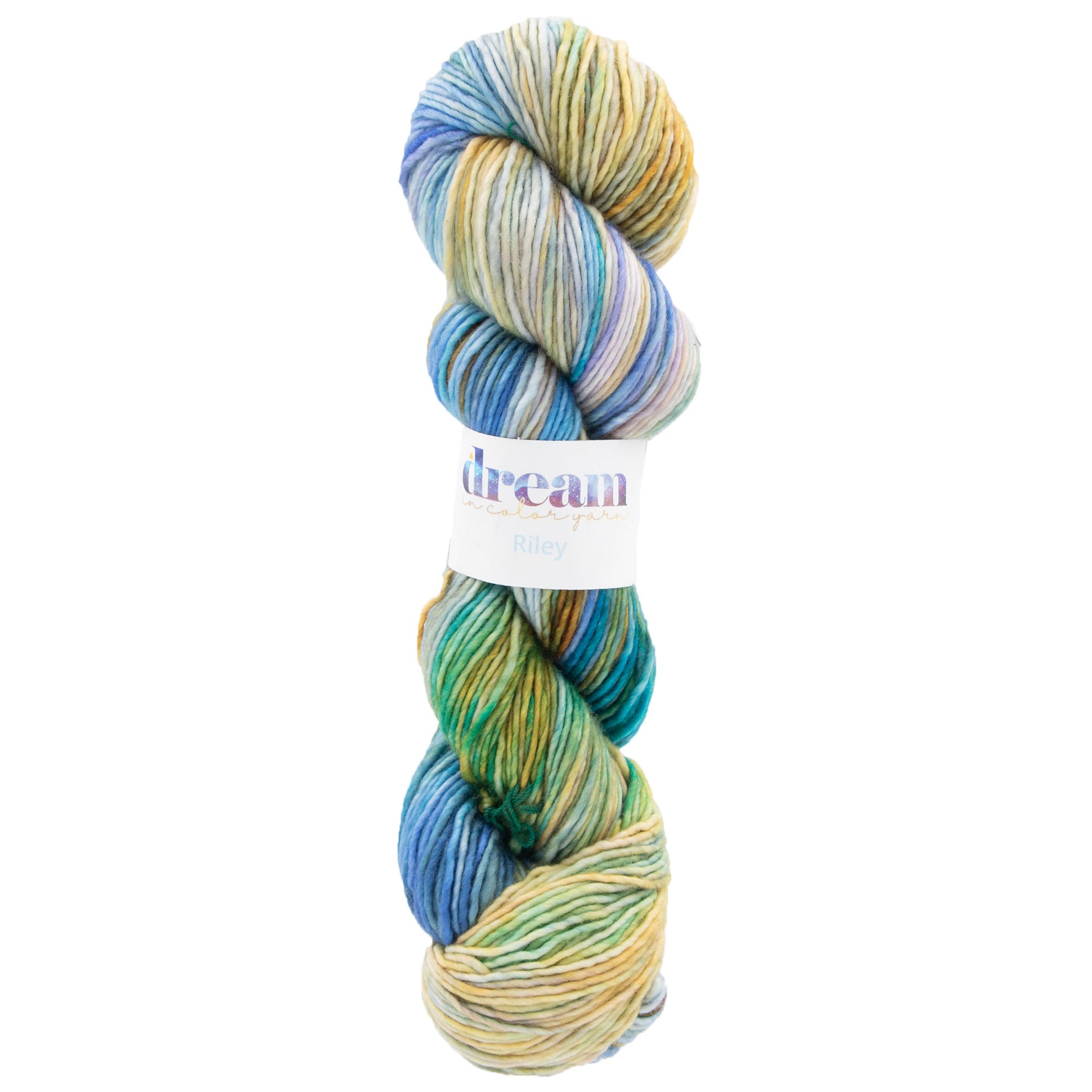 Dream in Color Riley Yarn - Water Dragon - Zoom Image
