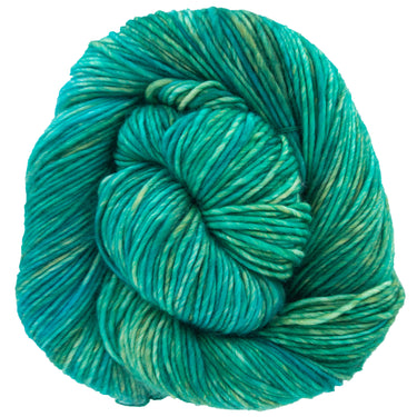Dream in Color Riley Yarn - Shuyler Lake - Zoom Image
