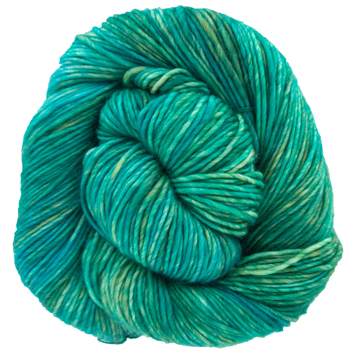 Dream in Color Riley Yarn - Shuyler Lake - Zoom Image