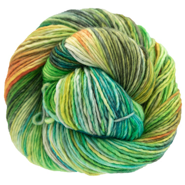 Dream in Color Riley Yarn - Farmers Market - Zoom Image
