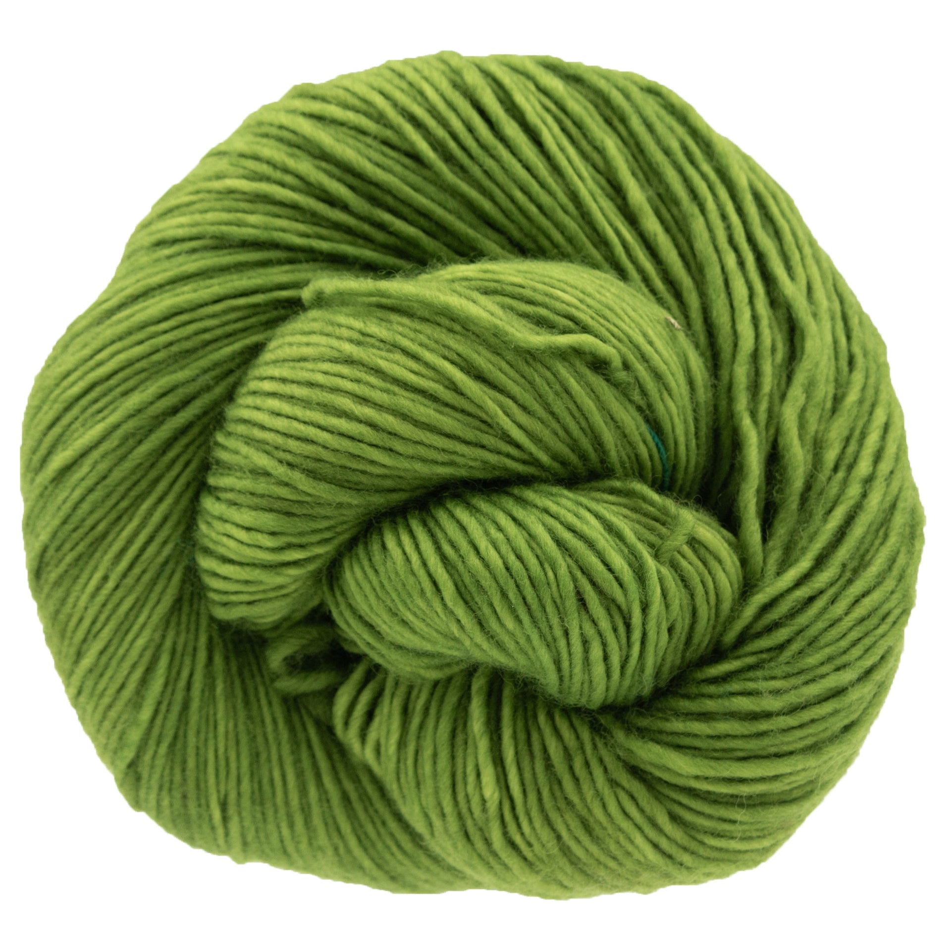 Dream in Color Riley Yarn - Joshua Tree - Zoom Image
