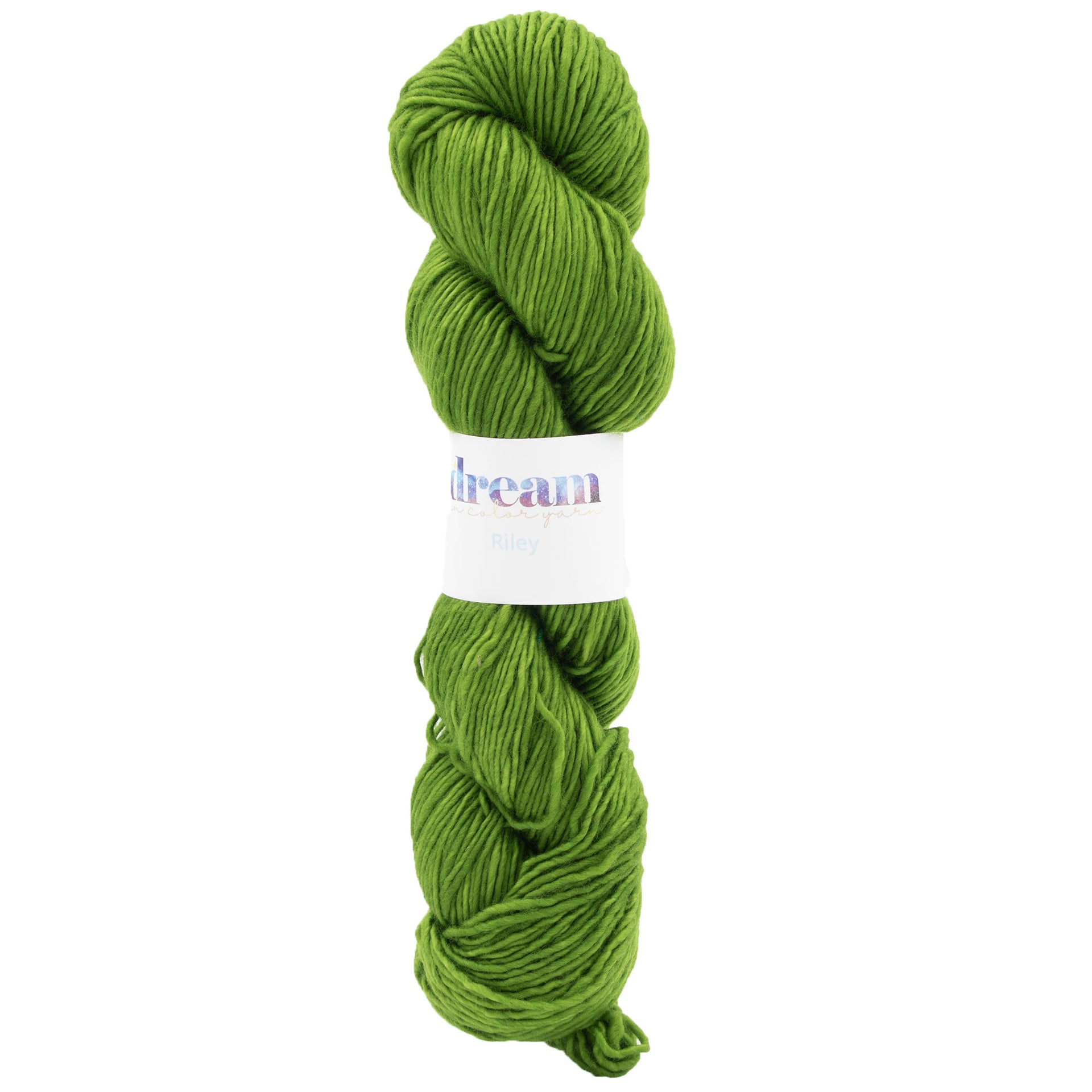 Dream in Color Riley Yarn - Joshua Tree - Zoom Image
