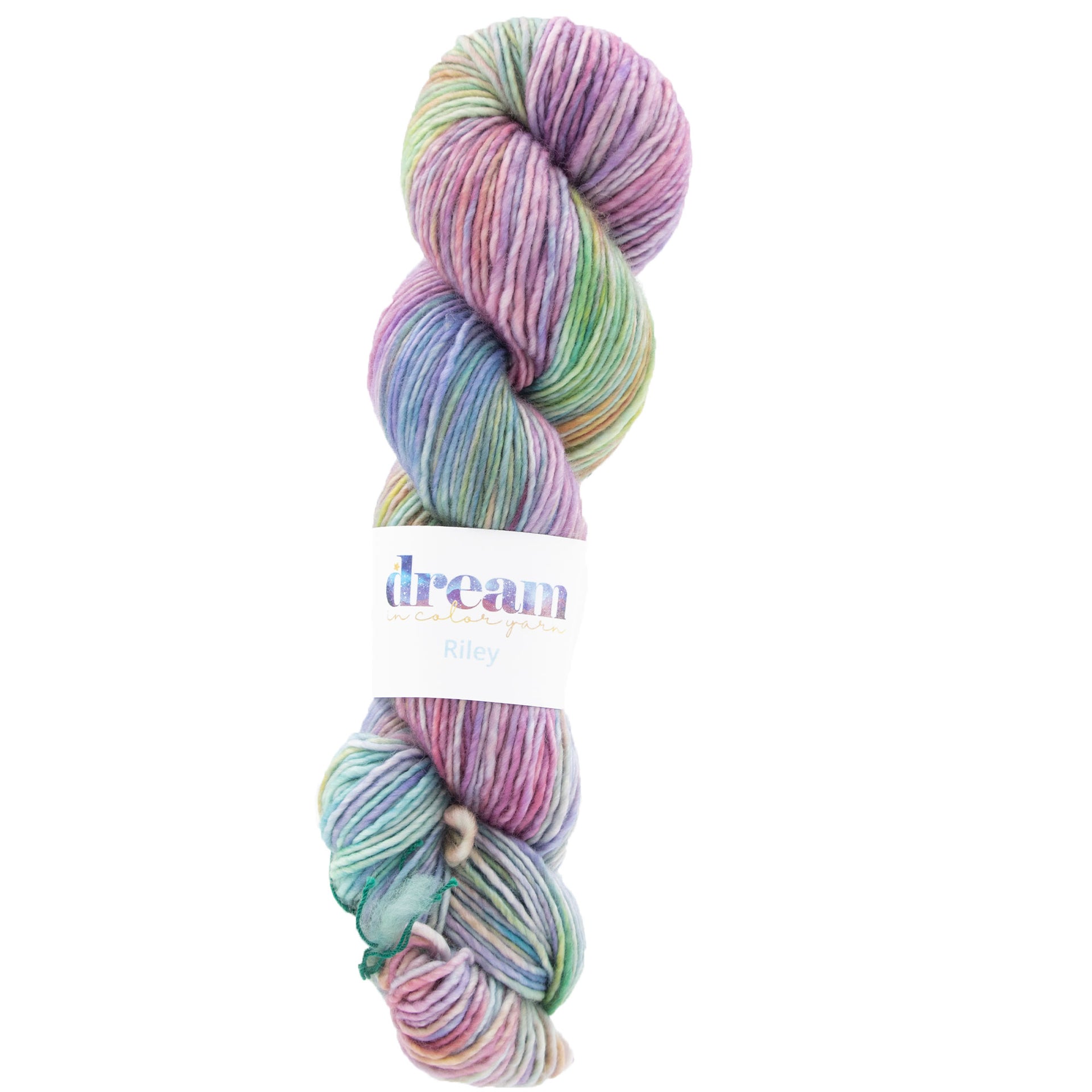 Dream in Color Riley Yarn - Milky Spite - Zoom Image
