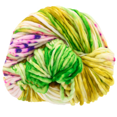 Dream in Color Savvy Yarn - Alive - Zoom Image