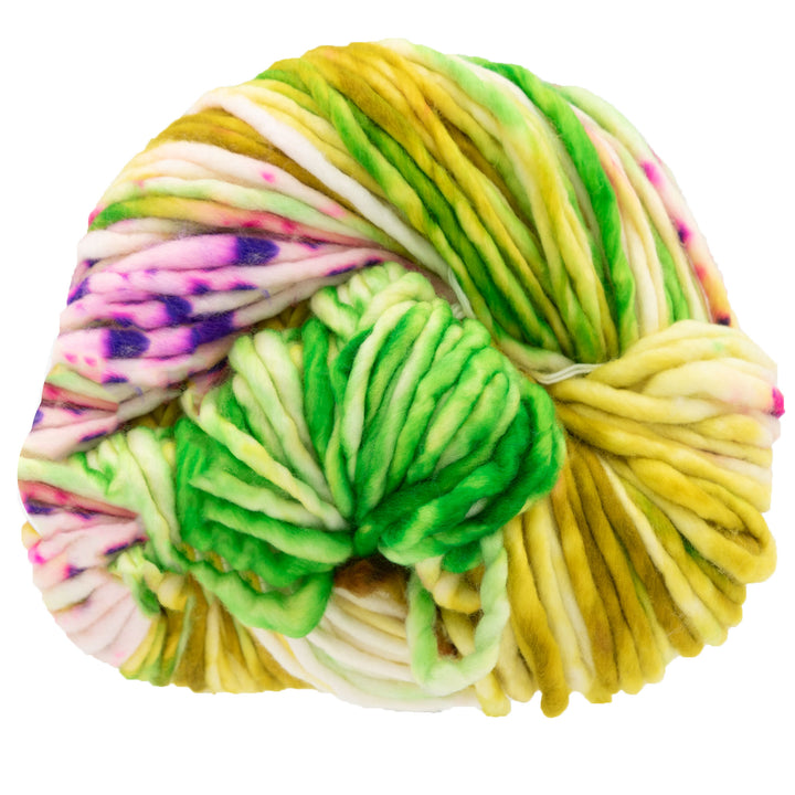 Dream in Color Savvy Yarn - Alive - Zoom Image