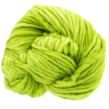 Dream in Color Savvy Yarn - Prickly Pear - Zoom Image