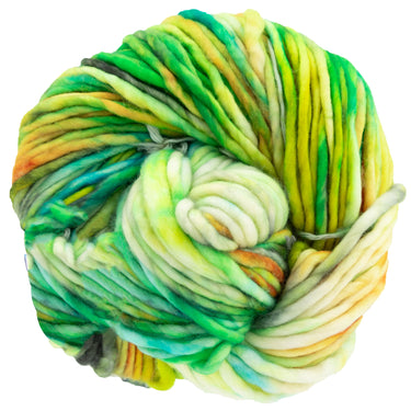 Dream in Color Savvy Yarn - Farmer's Market - Zoom Image