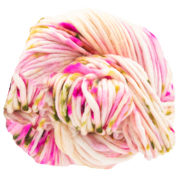 Dream in Color Savvy Yarn - Sonoran Magic - Zoom Image