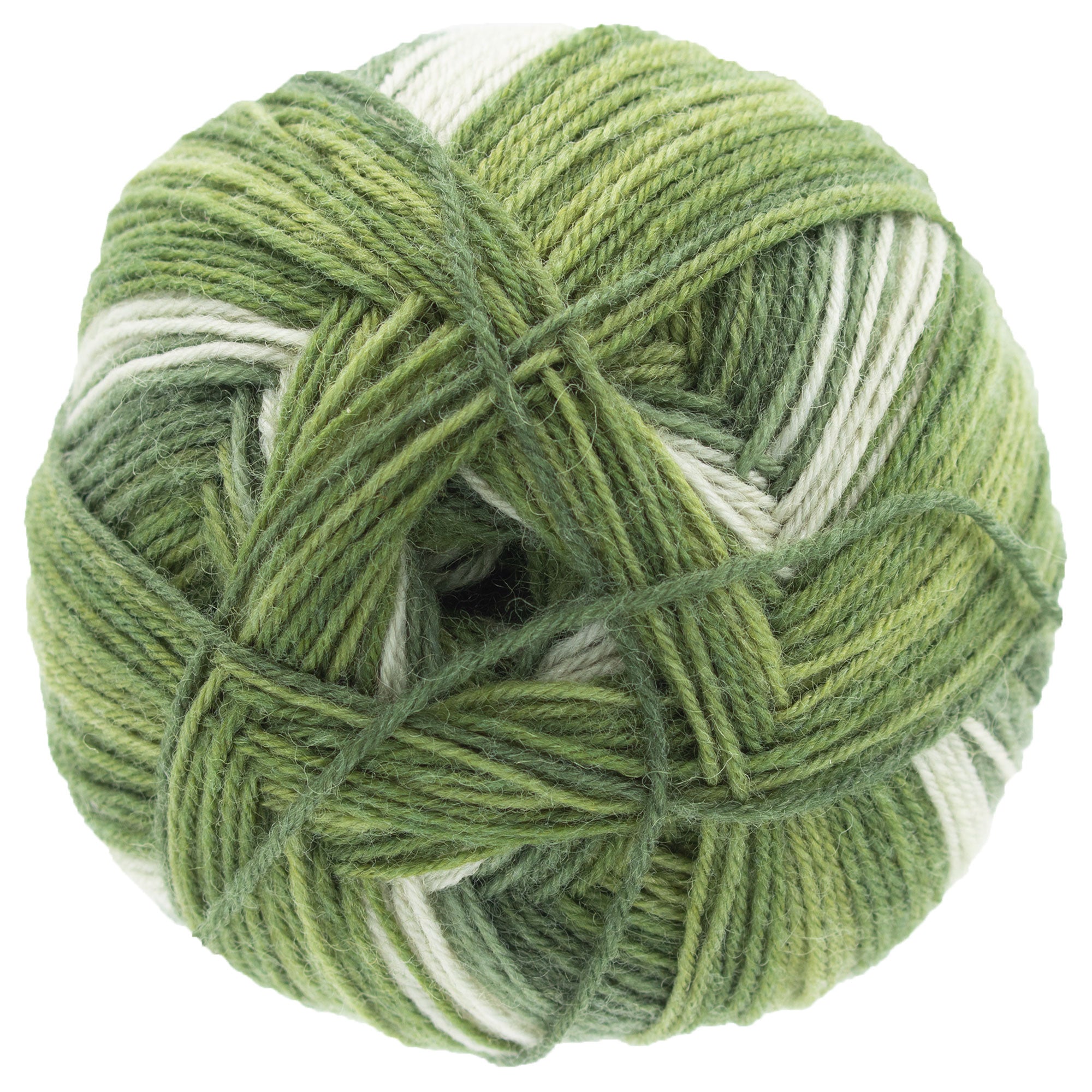 Scheepjes Arcadia Yarn - 905 Rainforest - Zoom Image