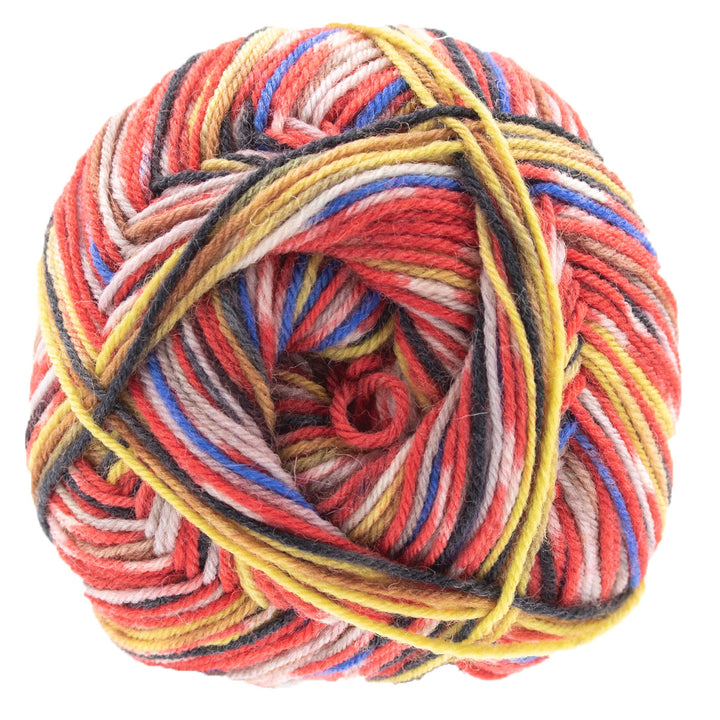 REGIA Design Line by Arne & Carlos - 100g Yarn - 3880 Roest Color - Extra Image