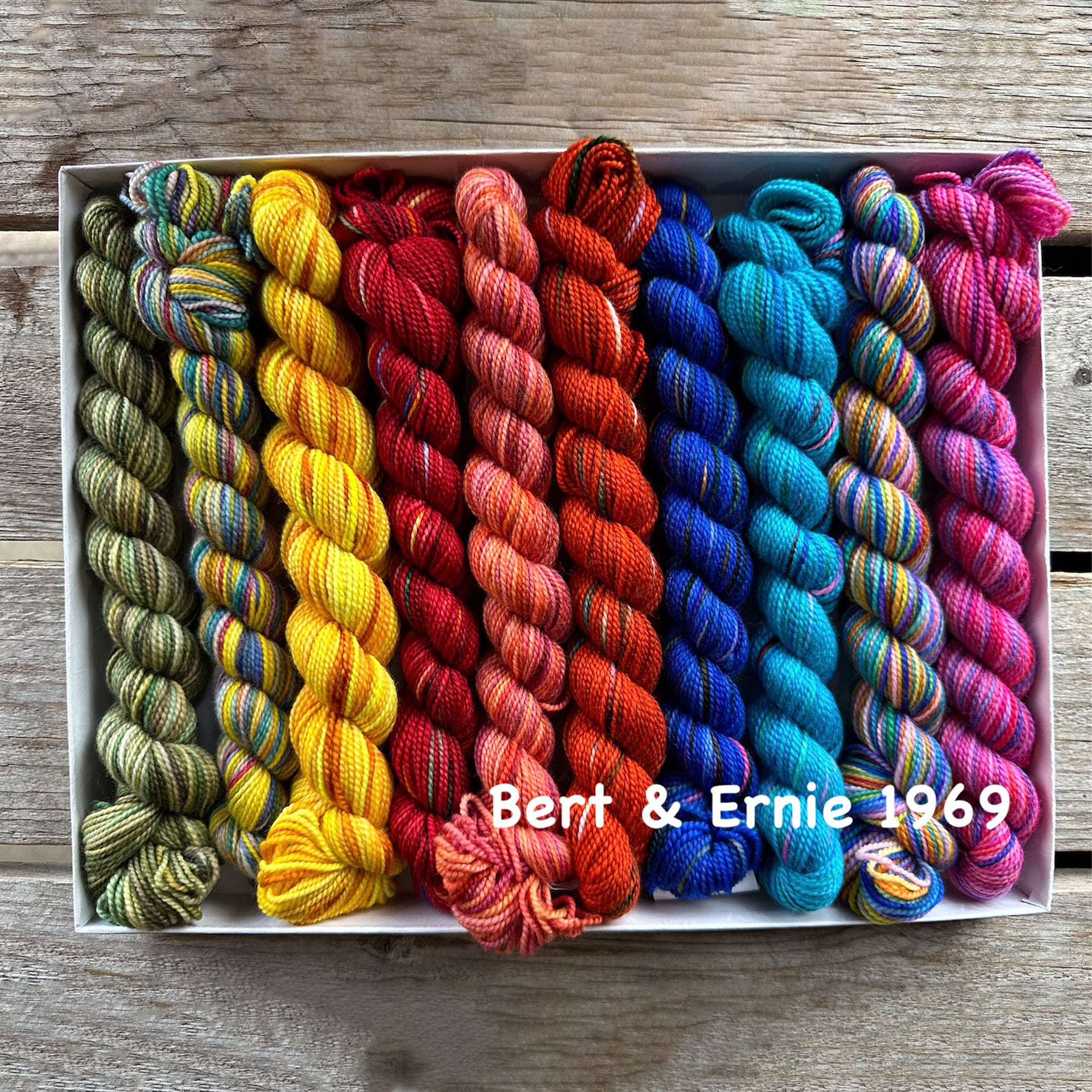 Koigu Pencil Box Yarn - Bert & Ernie 1969 - Zoom Image
