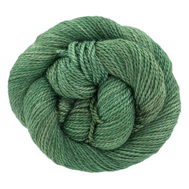 Dream in Color Field Collection: Suzette Yarn - Power Plant - Zoom Image