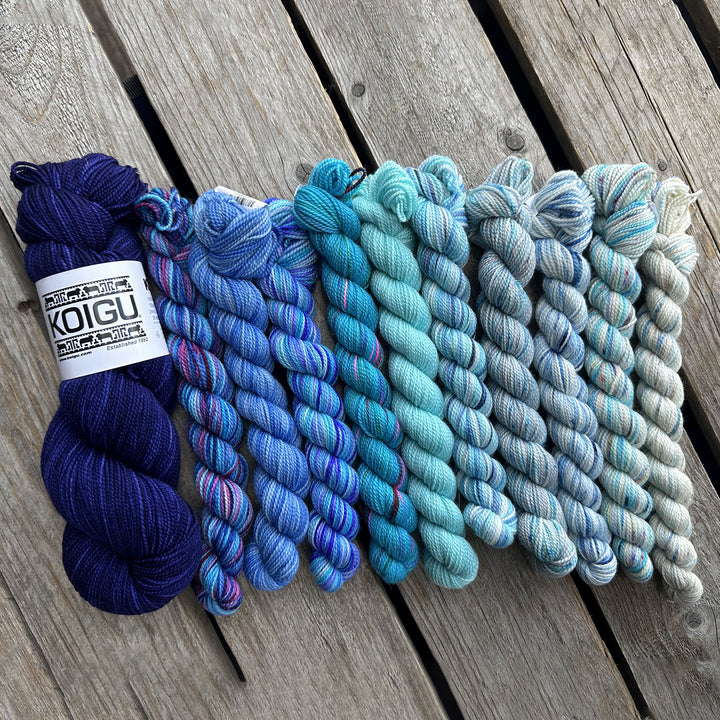 Koigu This or That MKAL 2024 Yarn - Nikko Blue - Zoom Image