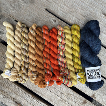 Koigu This or That MKAL 2024 Yarn - Masala - Zoom Image