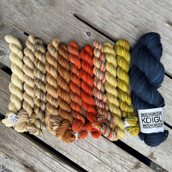 Koigu This or That MKAL 2024 Yarn - Masala - Zoom Image