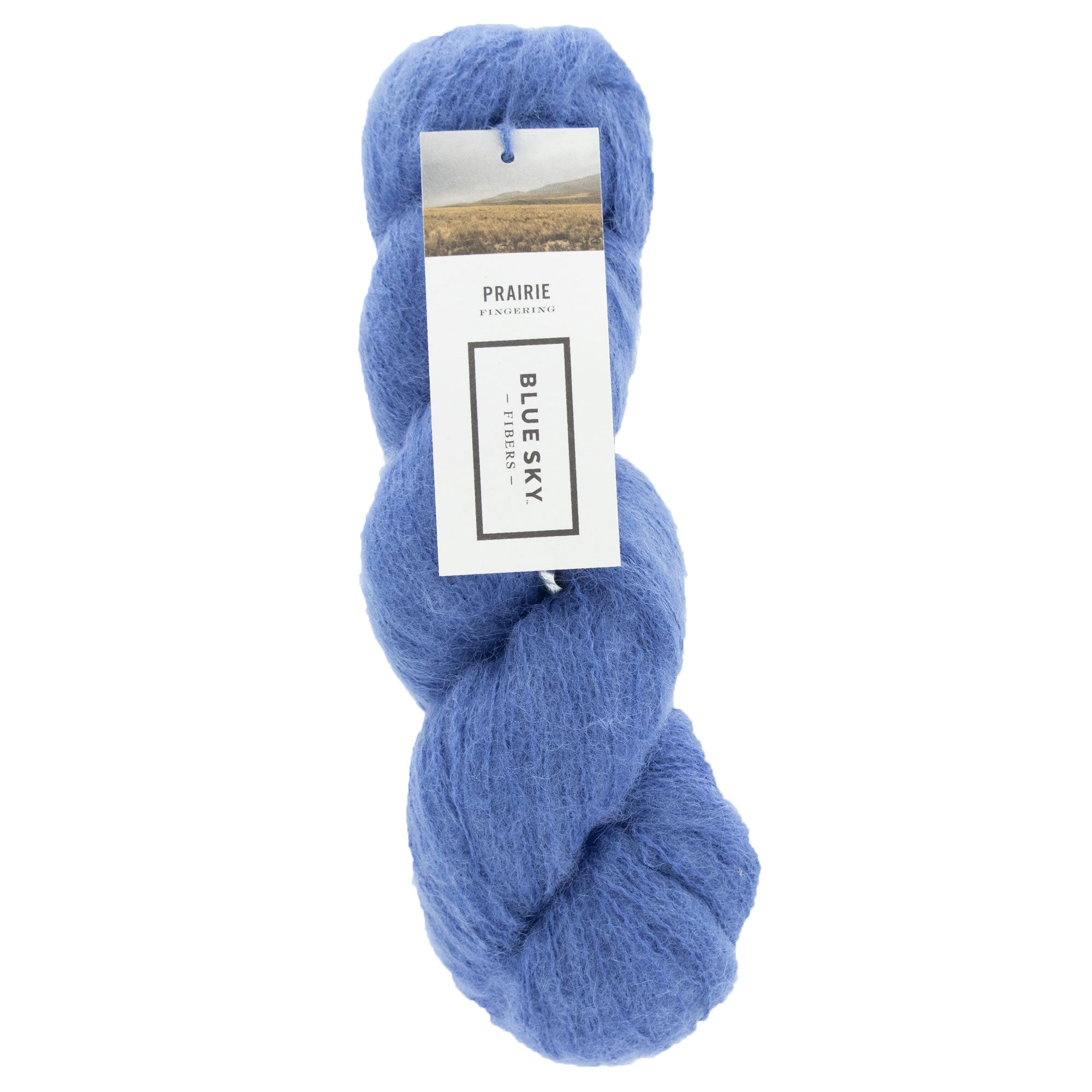 Blue Sky Fibers Prairie Yarn - 1105 - Aster - Zoom Image