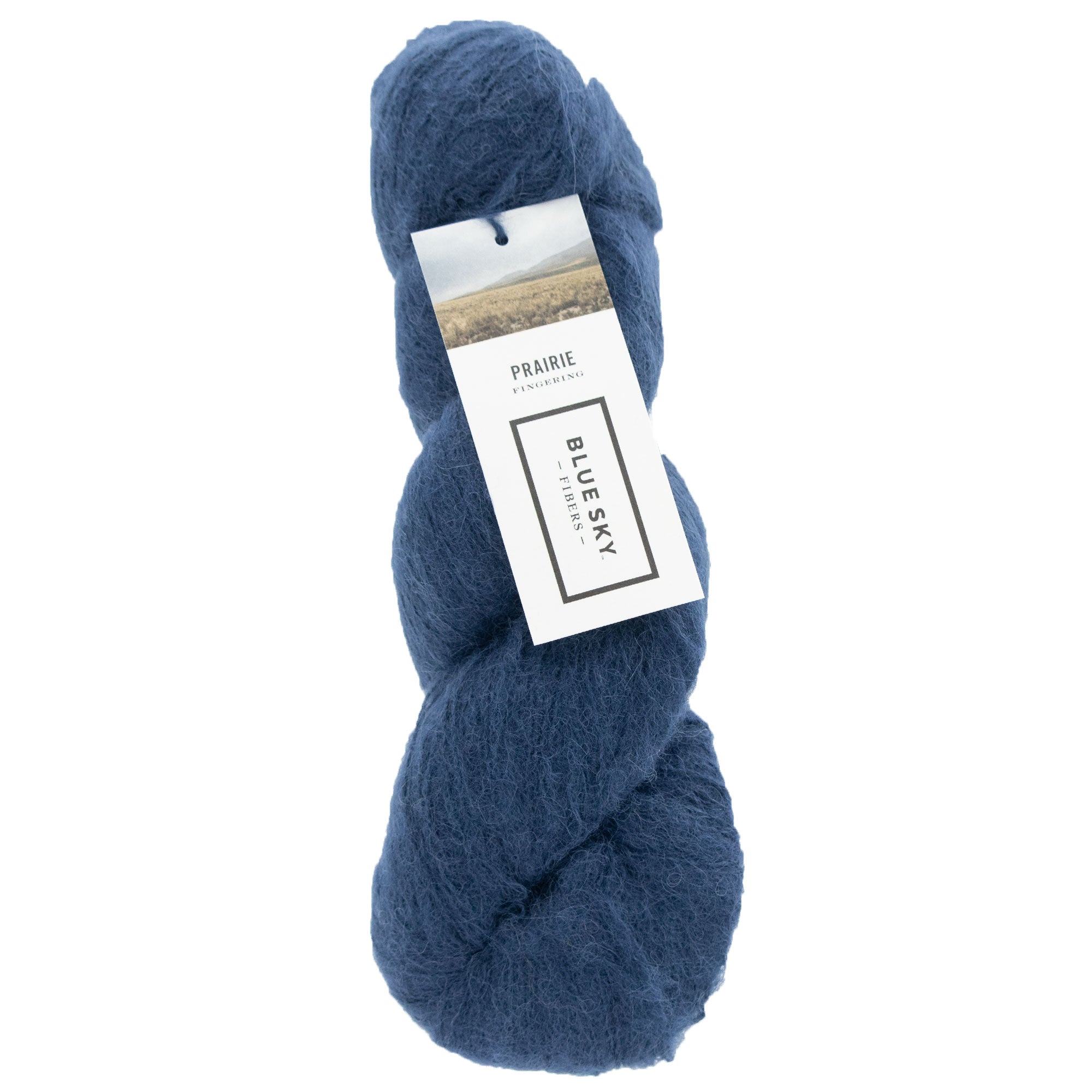 Blue Sky Fibers Prairie Yarn - 1106 - Dragonfly - Zoom Image
