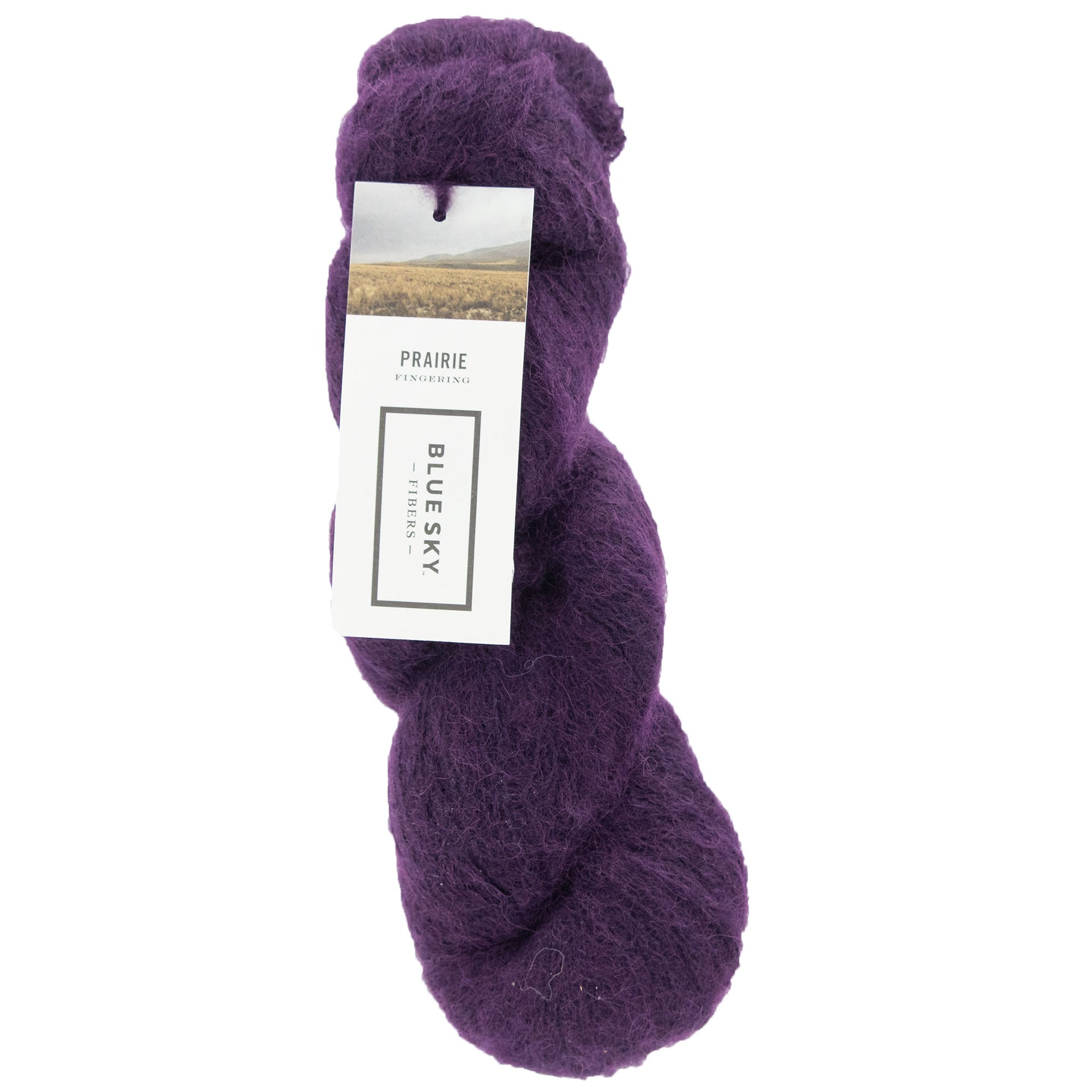 Blue Sky Fibers Prairie Yarn - 1110 - Elderberry - Zoom Image

