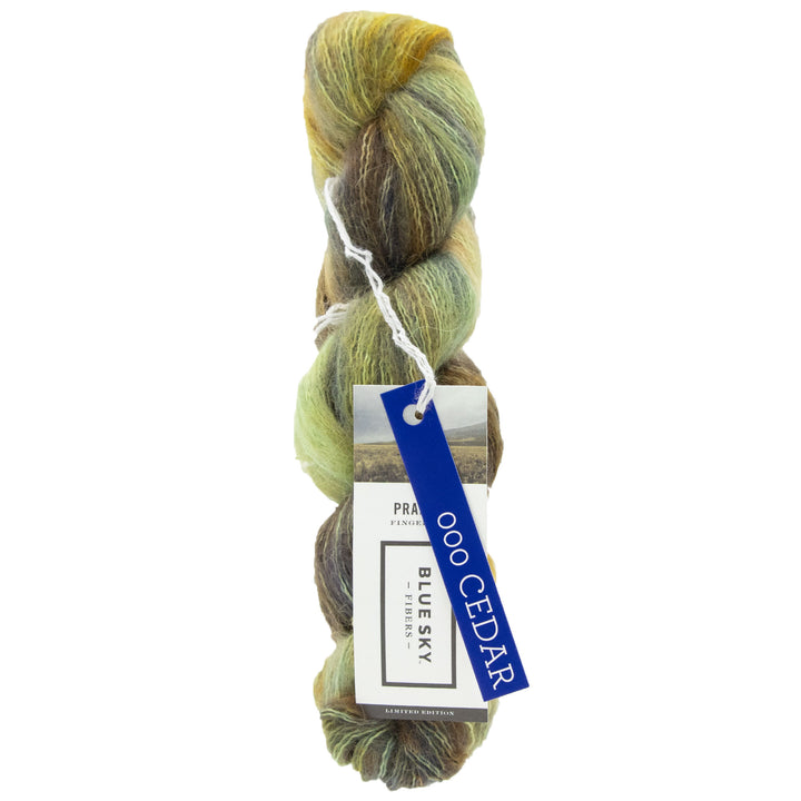 Blue Sky Fibers Hand Dyed Prairie Yarn - 11000 - Cedar - Zoom Image