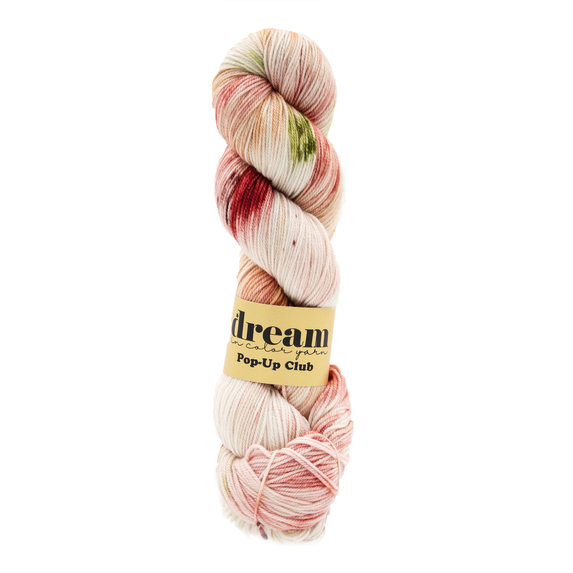 Dream in Color Smooshy Cashmere Yarn - Petrichor - Zoom Image

