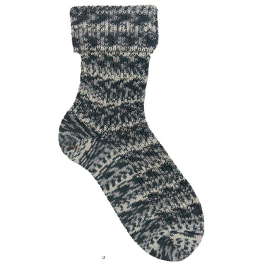 Opal Regenwald: 20th Anniversary Edition Yarn - 4004 Lord Marlon - Zoom Image