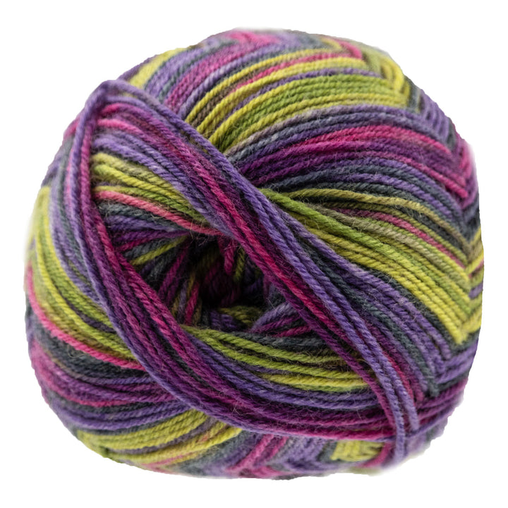 Opal Regenwald: 20th Anniversary Edition Yarn - 8467 Kongo Sally - Extra Image