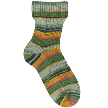 Opal Regenwald: 20th Anniversary Edition Yarn - 9770 Stefan Schreit In Der Achterbahn - Zoom Image