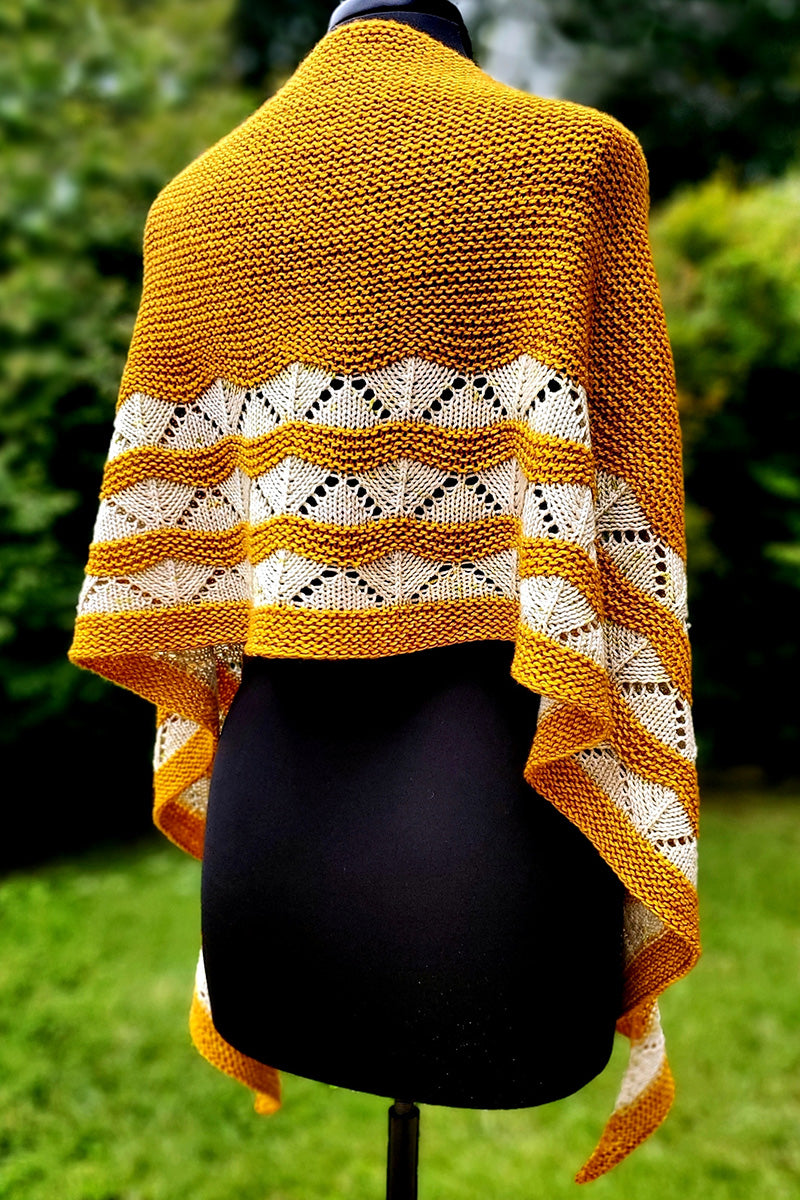 Dream In Color Ipanema Shawl Kit - Extra Image
