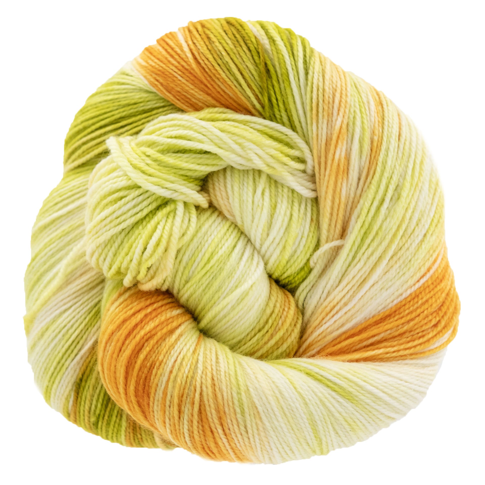 Dream in Color Smooshy Yarn - Seedling - Zoom Image
