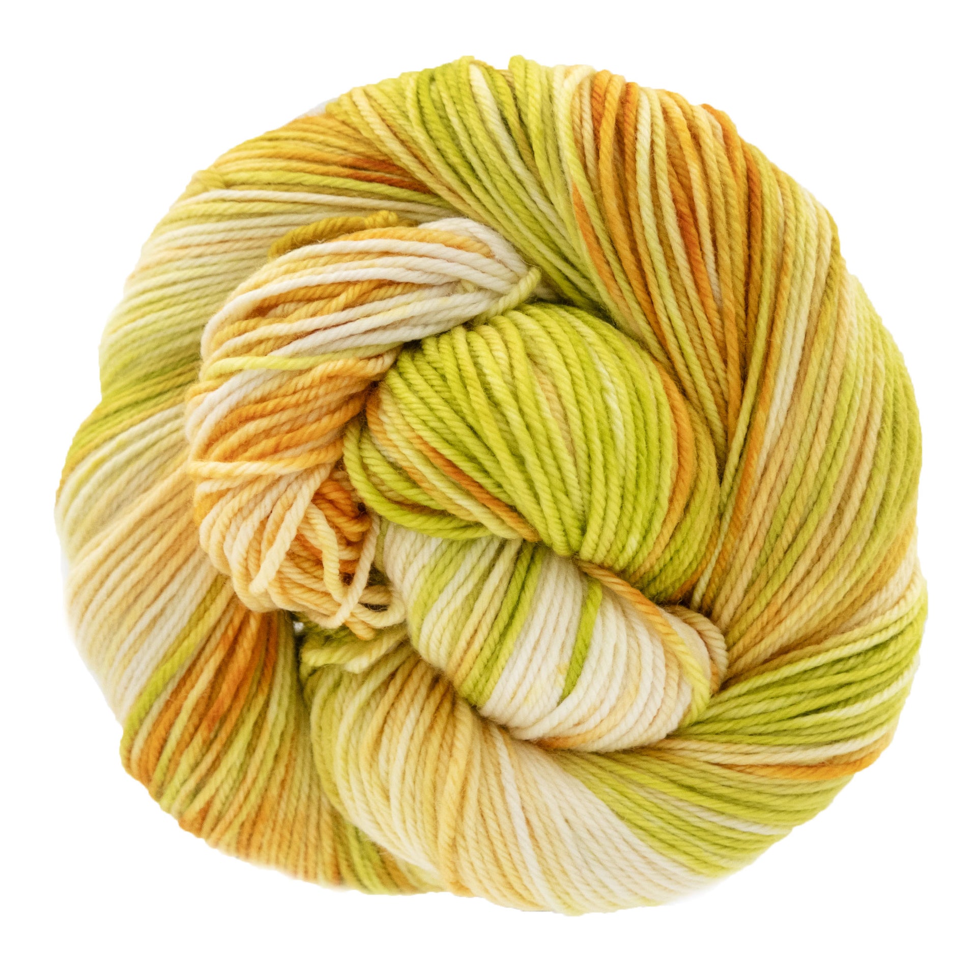 Dream in Color Classy Yarn - Seedling - Zoom Image
