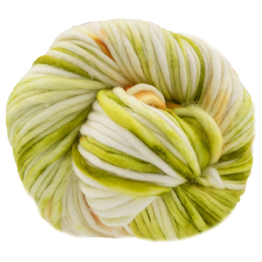 Dream in Color Savvy Yarn - Seedling - Zoom Image