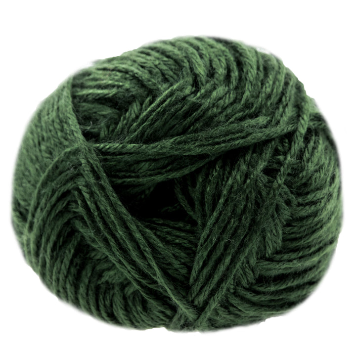 Jimmy Beans Wool Beanstalk Worsted Yarn - 005 Spruced Up - Zoom Image