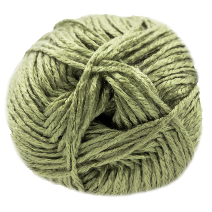 Jimmy Beans Wool Beanstalk Worsted Yarn - 017 Herb Garden - Zoom Image
